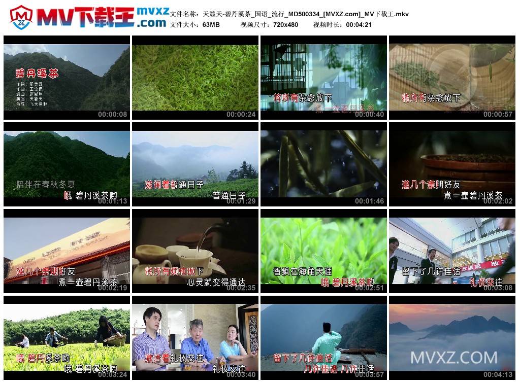 天籁天-碧丹溪茶_国语_流行_MD500334